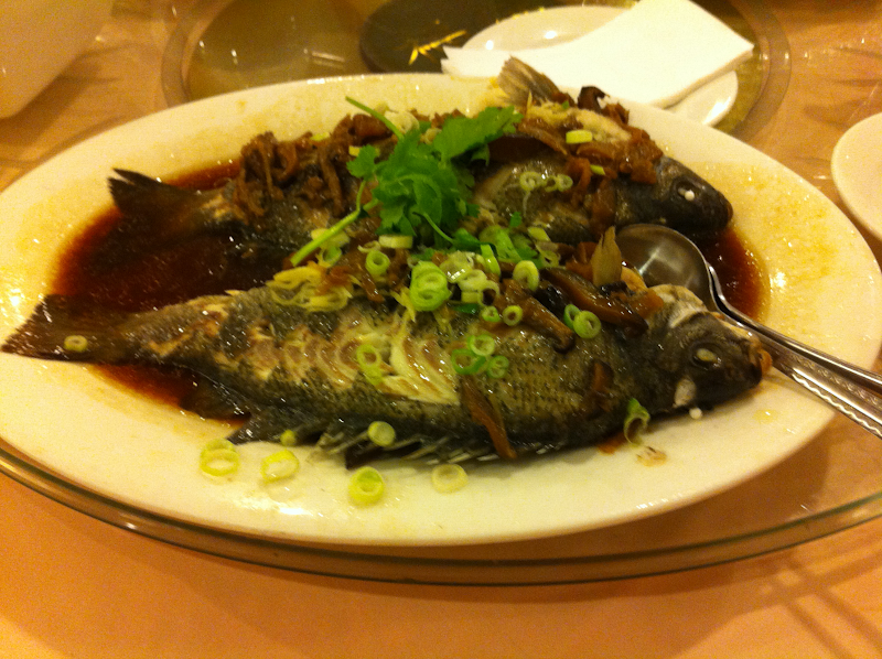 Steamed Perches